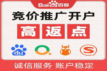 百度竞价广告投放策略案例